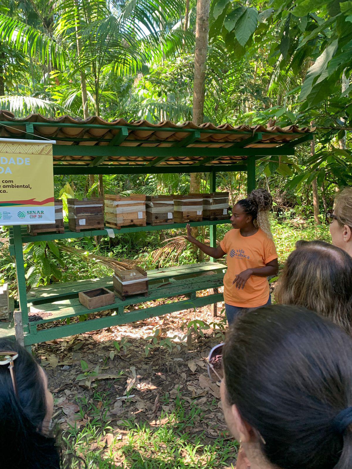 Apresentação sobre abelhas nativas na AME