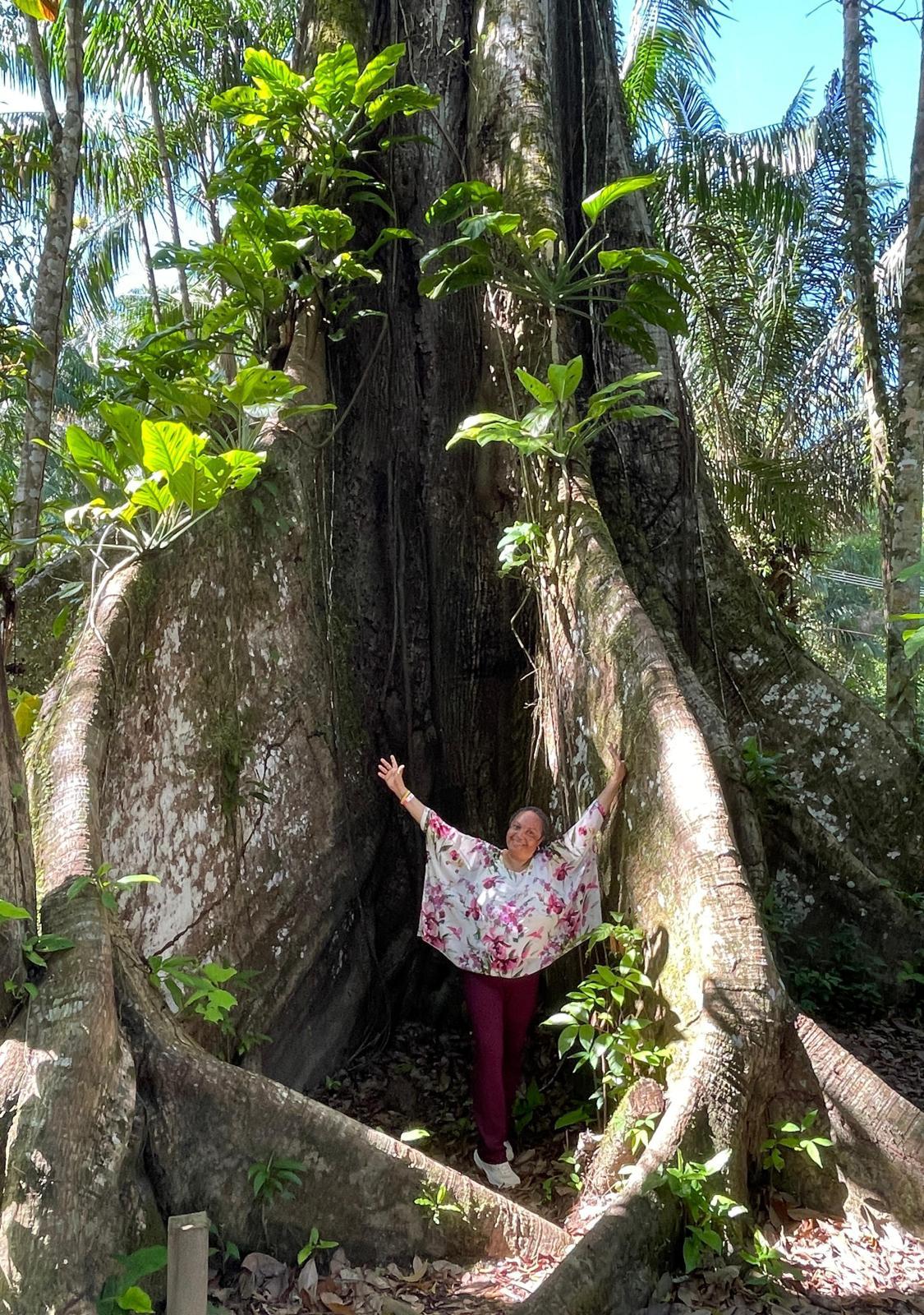 Abraço à árvore Samaúma centenária